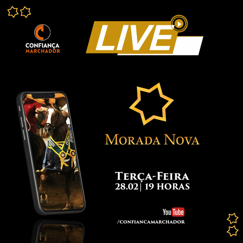 II LIVE MORADA NOVA