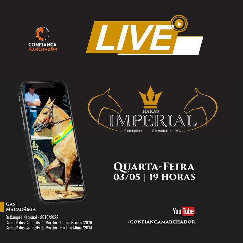 LIVE HARAS IMPERIAL