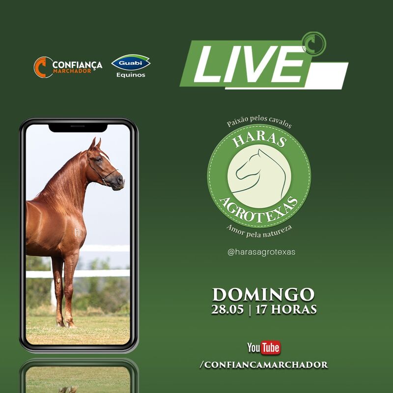 IV LIVE AGROTEXAS