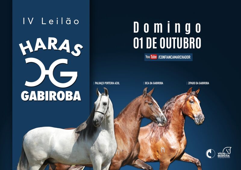 IV LEILÃO HARAS GABIROBA