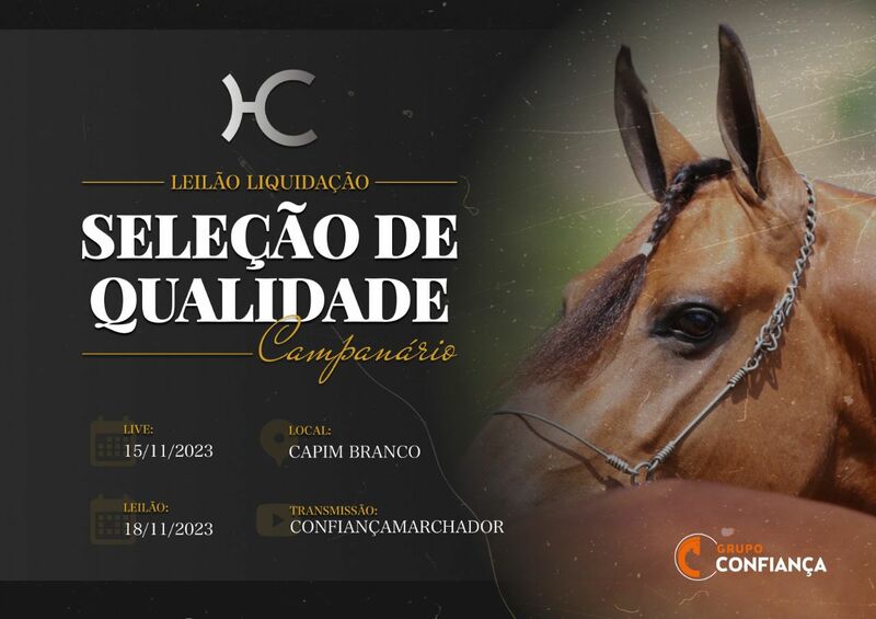 ABQM - Leilão Caruana Welcome KR Moose acontece nesta quinta-feira (05/08)  com dez lotes selecionados