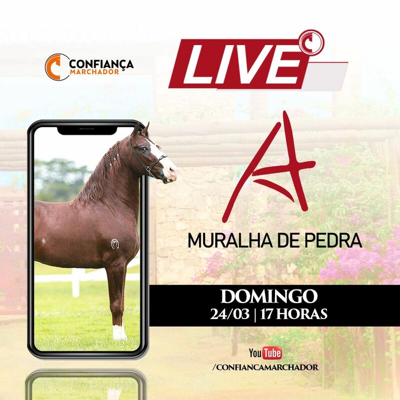 III LIVE MURALHA DE PEDRA