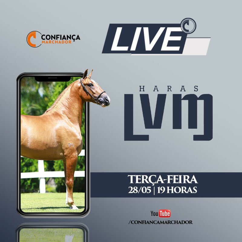 LIVE HARAS LVM