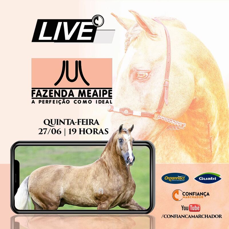 III LIVE FAZENDA MEAÍPE