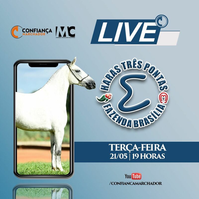 LIVE HARAS TRÊS PONTAS