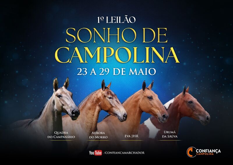 LEILÃO SONHO DE CAMPOLINA