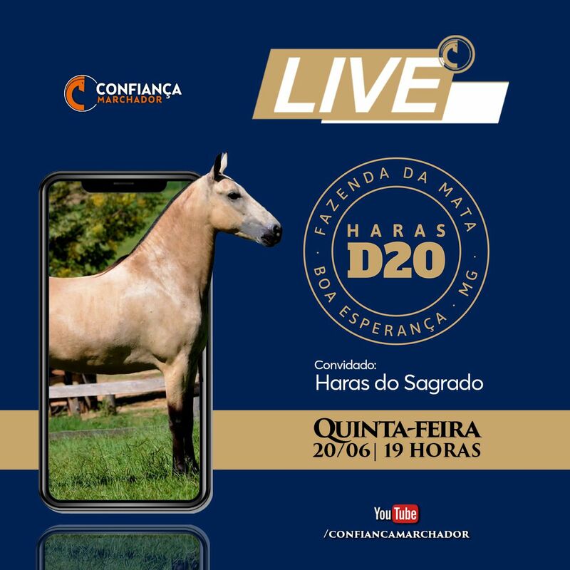 LIVE HARAS D20