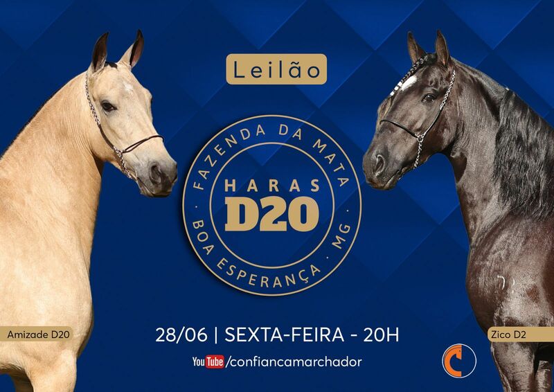 LEILÃO HARAS D20