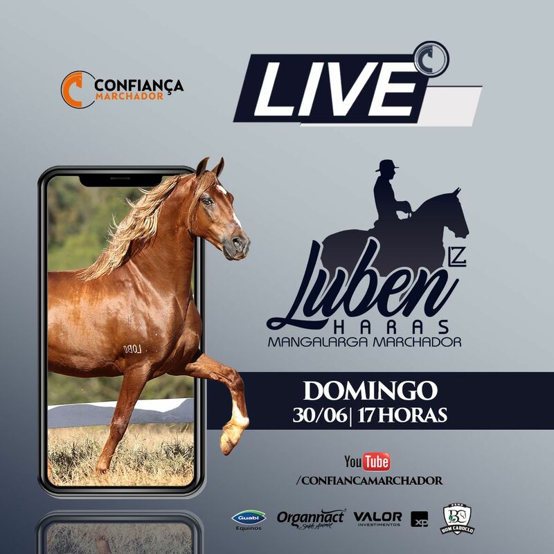 LIVE HARAS LUBEN