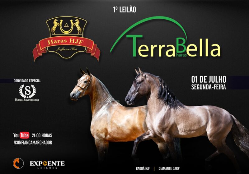 1° LEILÃO HJF, TERRABELLA E CONVIDADOS