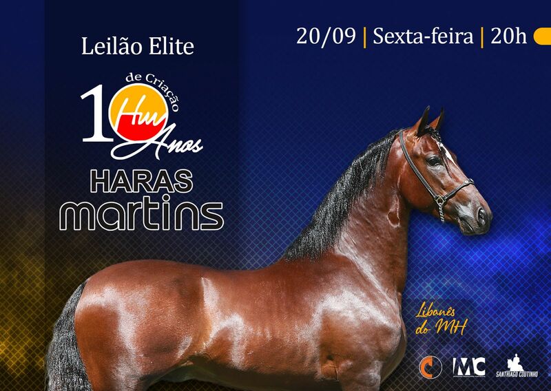 LEILÃO ELITE HARAS MARTINS