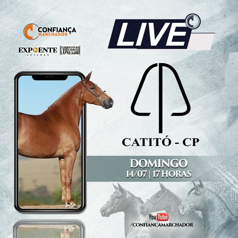 LIVE HARAS CATITÓ