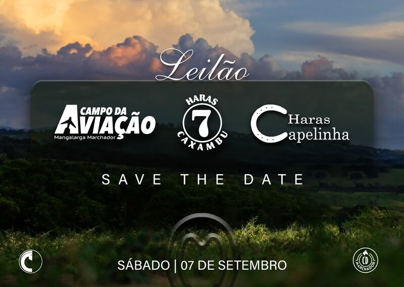 LEILÃO HARAS CAMPO DA AVIAÇÃO, CAPELINHA E CAXAMBU