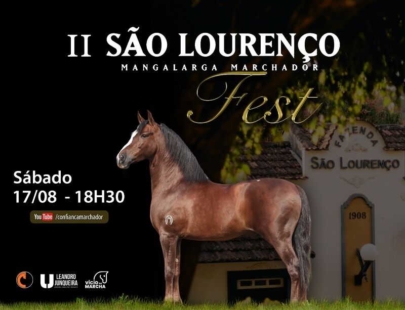 2º SÃO LOURENÇO FEST