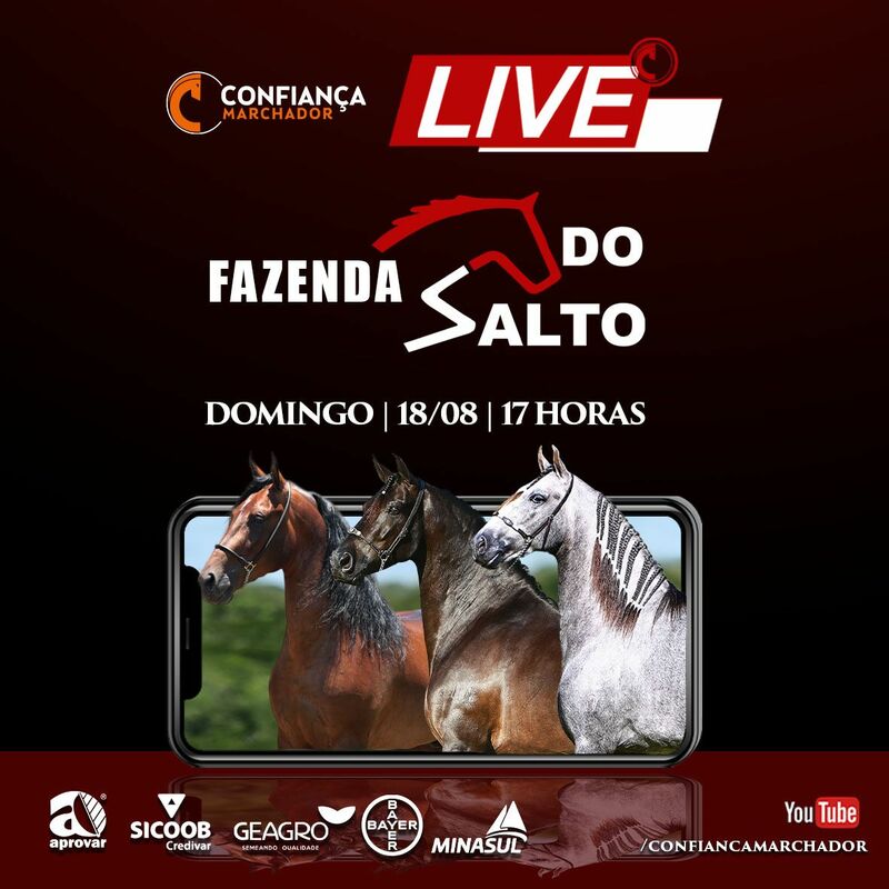 III LIVE FAZENDA DO SALTO