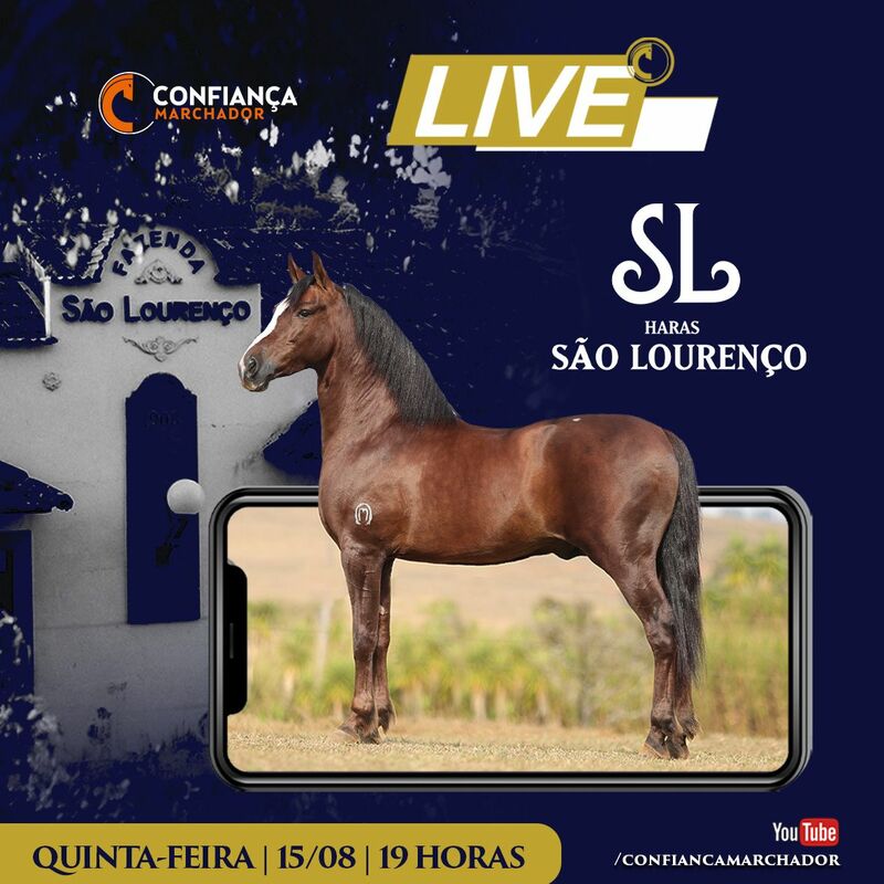 LIVE HARAS SÃO LOURENÇO