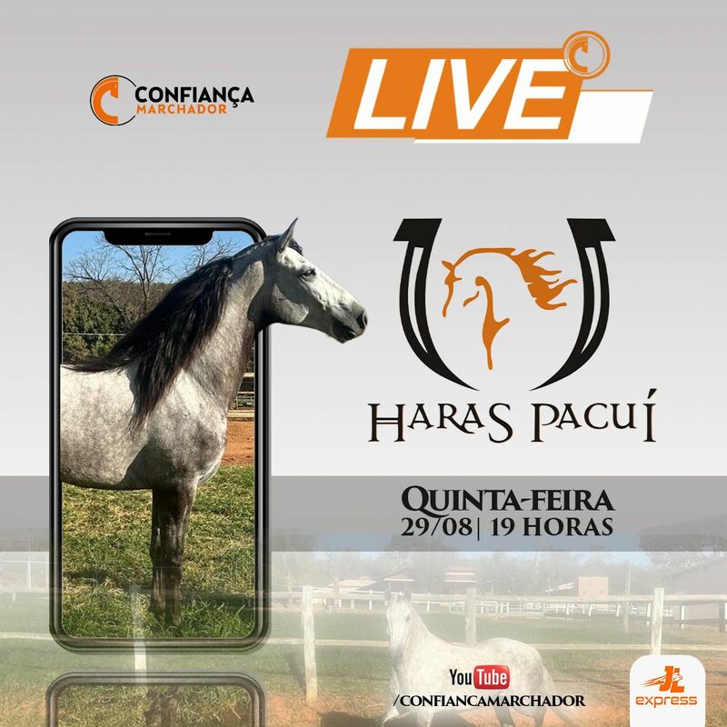 LIVE DE CRIAÇÃO HARAS PACUÍ