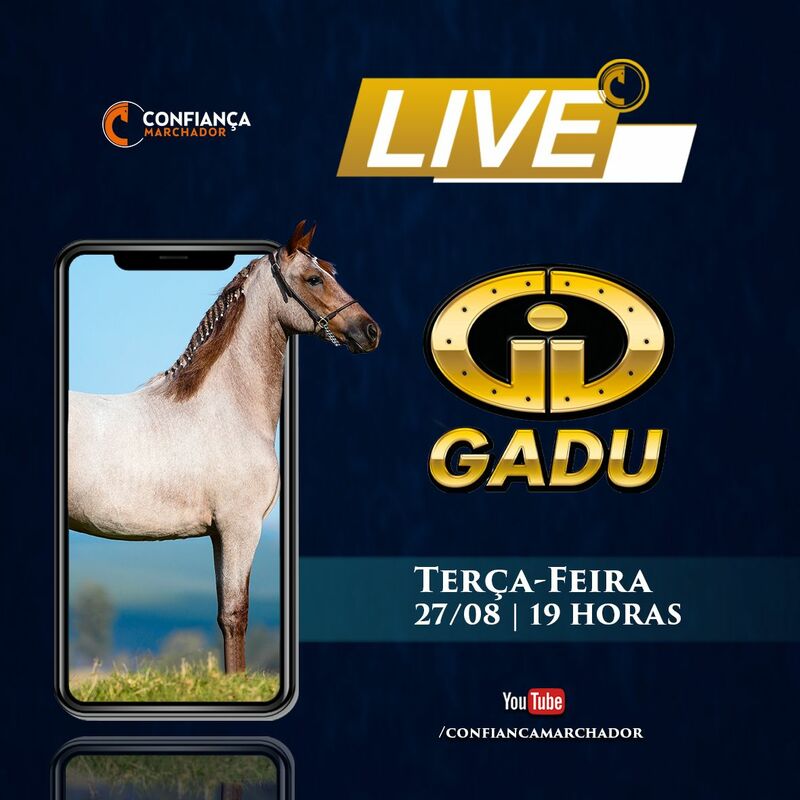 LIVE HARAS GADU