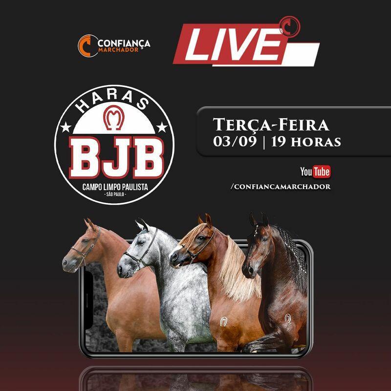 LIVE HARAS BJB