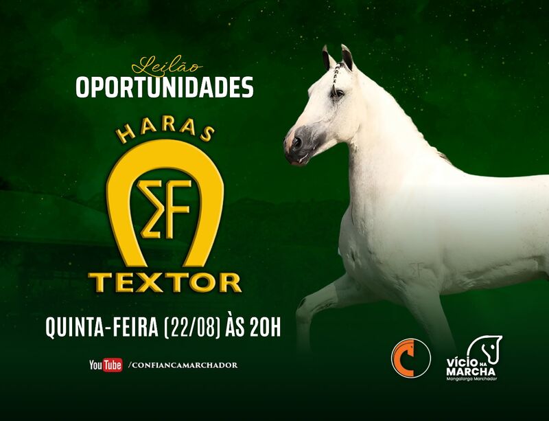 LEILÃO OPORTUNIDADES HARAS TEXTOR