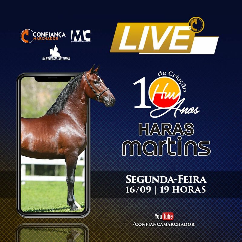 LIVE DE CRIAÇÃO HARAS MARTINS