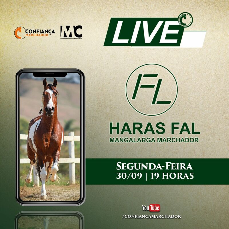 LIVE HARAS FAL