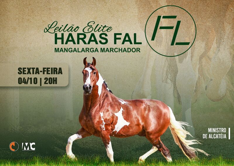 LEILÃO ELITE HARAS FAL