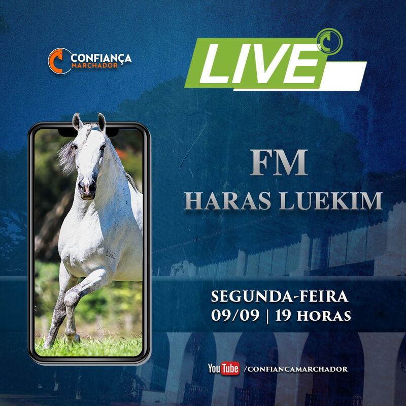 LIVE HARAS LUEKIM