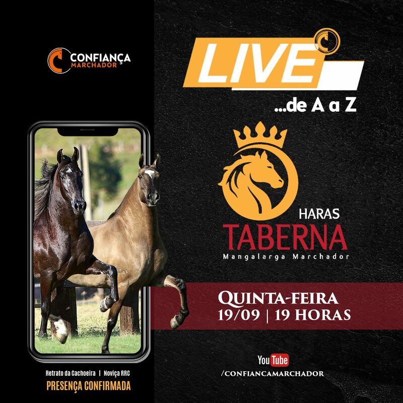 LIVE HARAS TABERNA