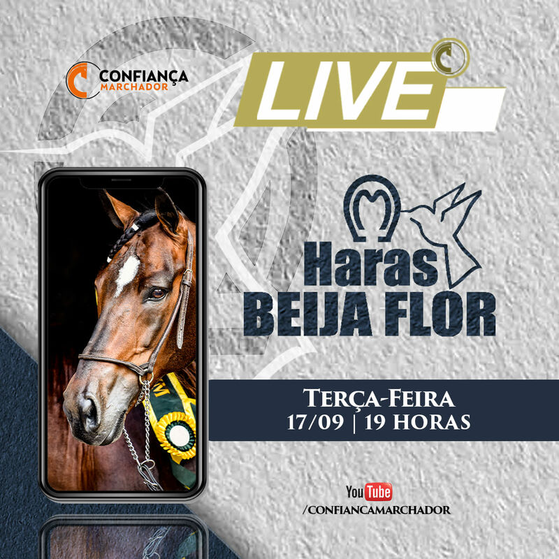 LIVE HARAS BEIJA FLOR