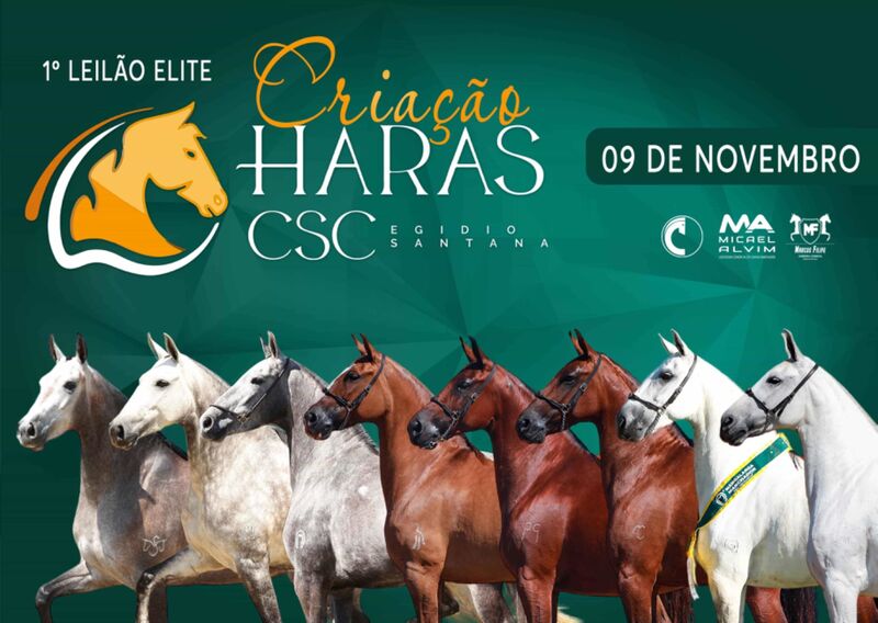 1º LEILÃO ELITE CRIAÇÃO HARAS CSC