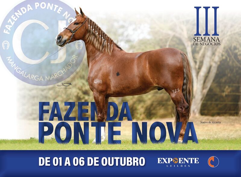 III SEMANA DE NEGÓCIOS FAZENDA PONTE NOVA