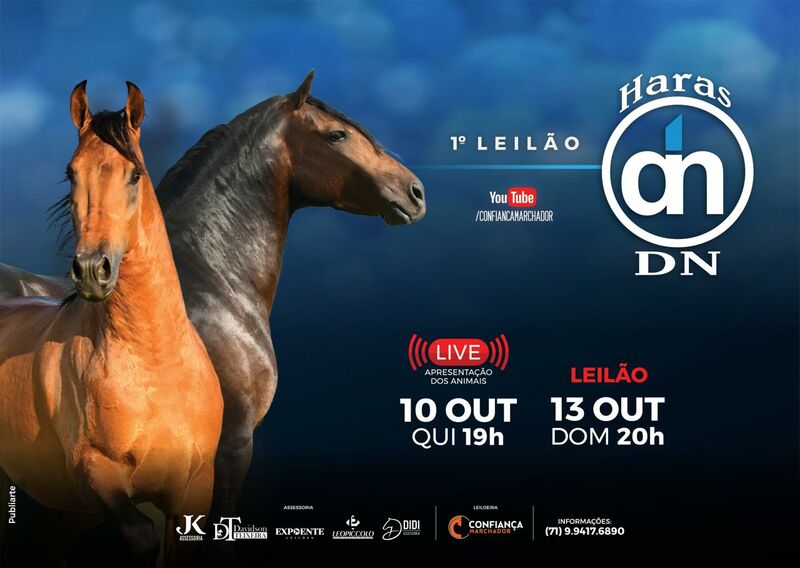 1º LEILÃO HARAS DN