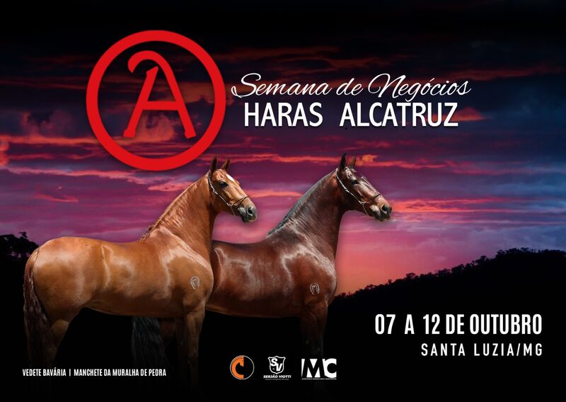 SEMANA DE NEGÓCIOS HARAS ALCATRUZ