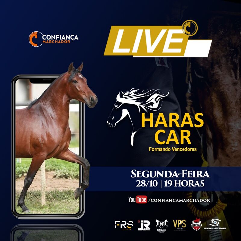 LIVE HARAS CAR