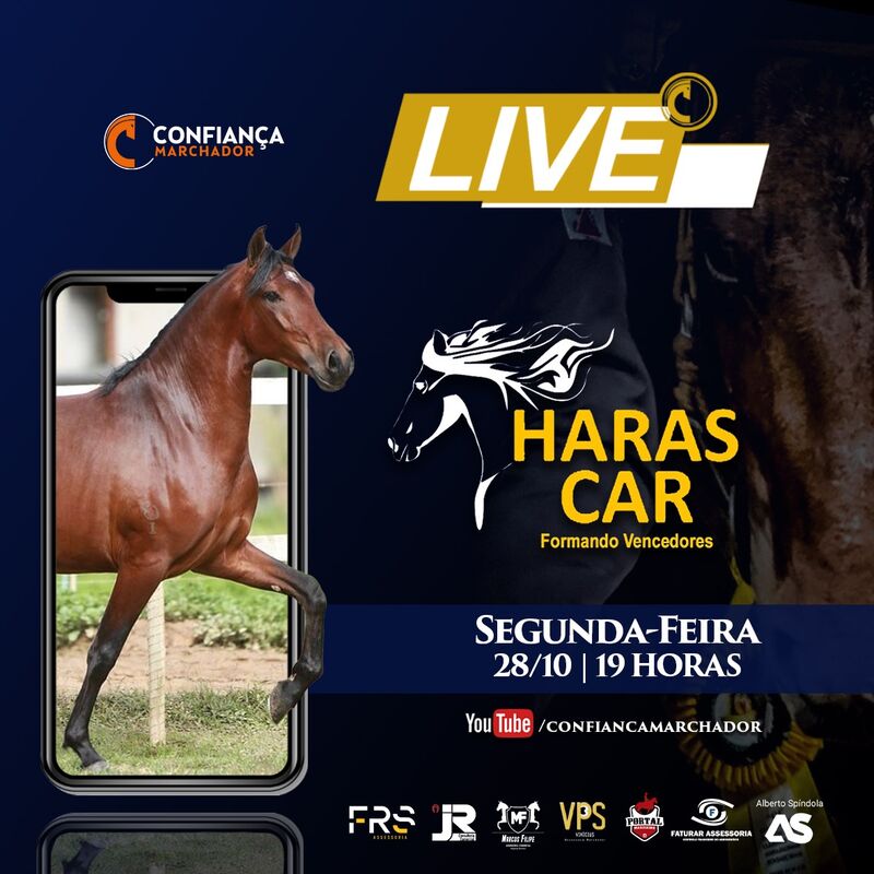 LIVE HARAS CAR