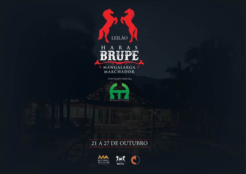 LEILÃO HARAS BRUPE - CONVIDADO ESPECIAL HARAS TUCUNARÉ