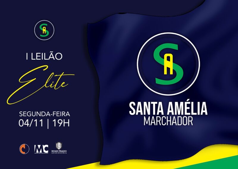 I LEILÃO SANTA AMÉLIA