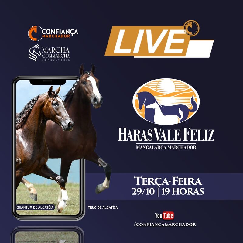 LIVE HARAS VALE FELIZ