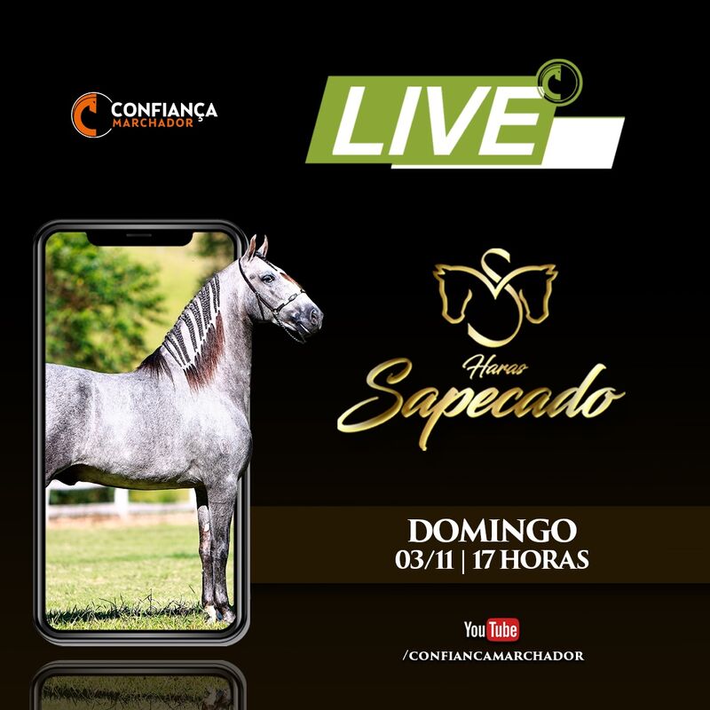 LIVE SAPECADO