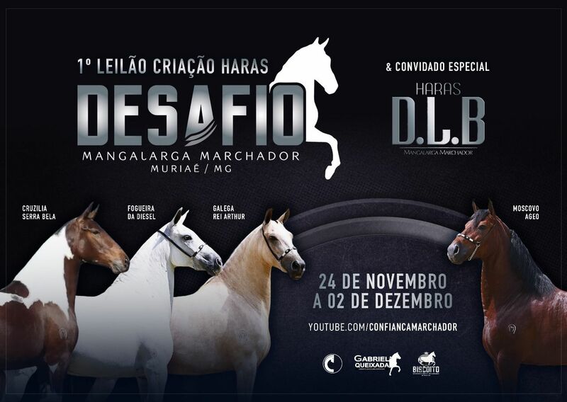 1º LEILÃO CRIAÇÃO HARAS DESAFIO & CONVIDADO ESPECIAL HARAS D.L.B