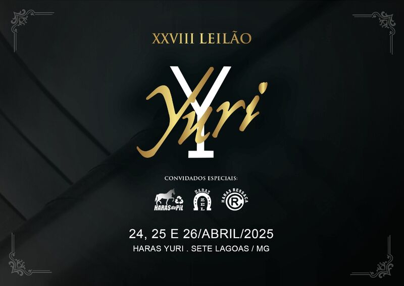 XXVIII LEILÃO YURI