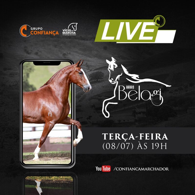 LIVE CRIAÇÃO HARAS BELAGI