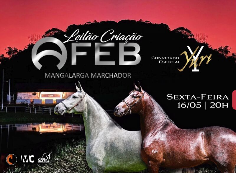 LEILÃO CRIAÇÃO AFEB