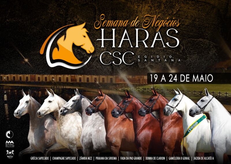SEMANA DE NEGÓCIOS HARAS CSC