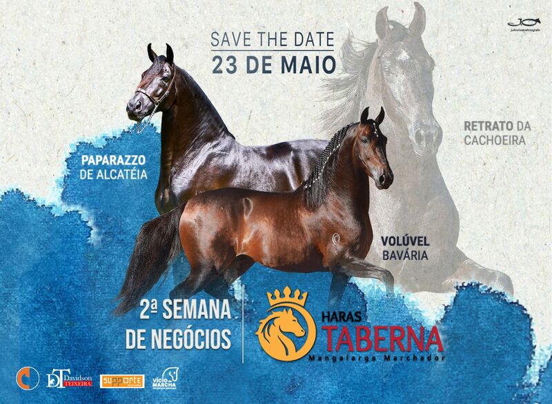 2ª SEMANA DE NEGÓCIOS HARAS TABERNA