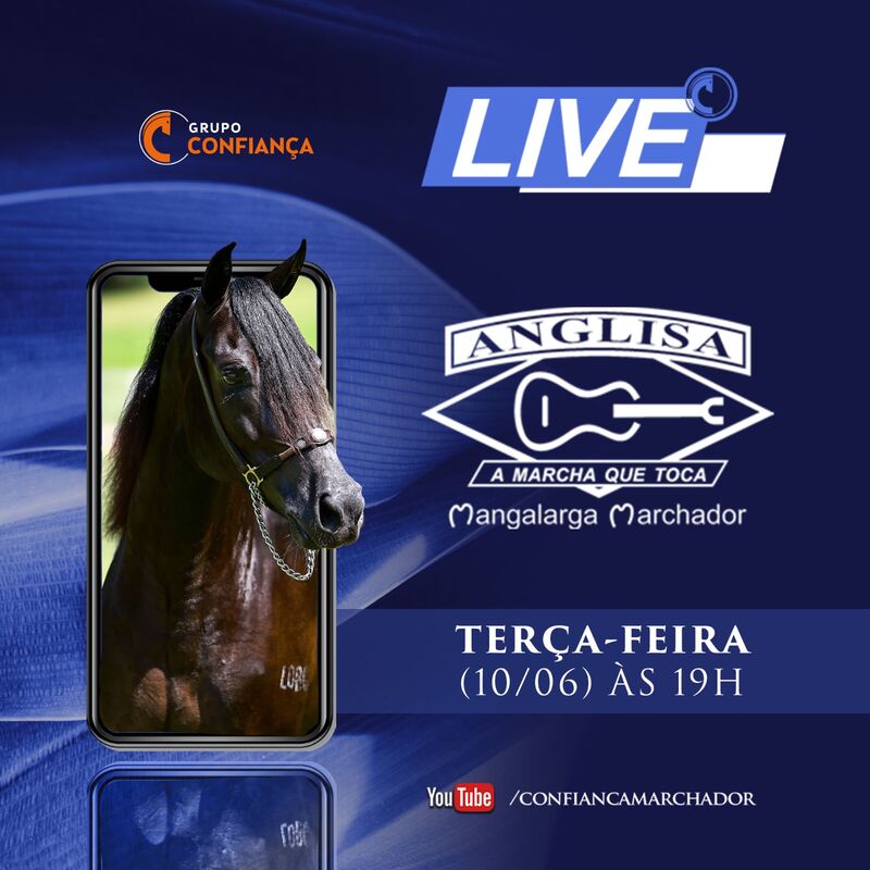 VI LIVE HARAS ANGLISA