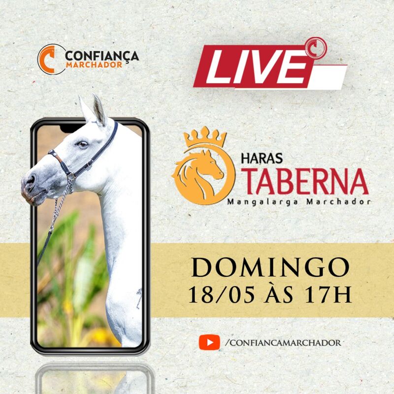 LIVE TABERNA