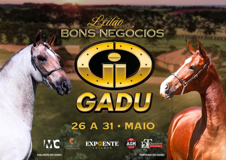 LEILÃO BONS NEGÓCIOS GADU