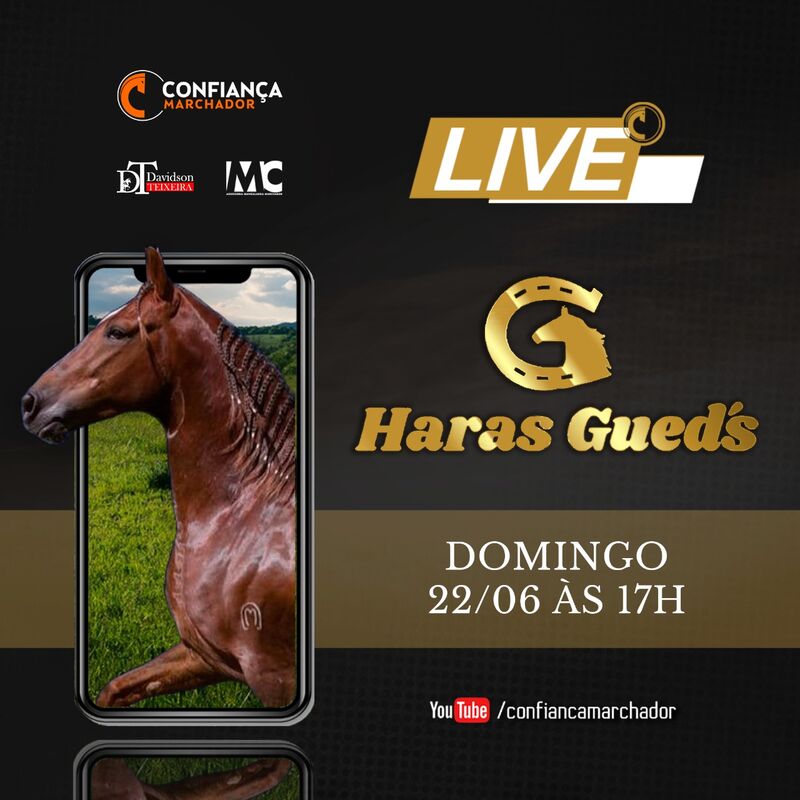 LIVE HARAS GUEDS